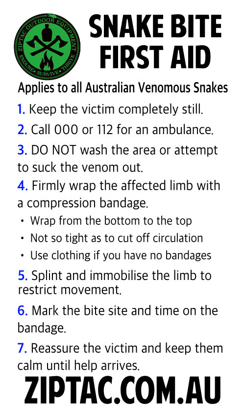 How To Provide First Aid For A Snake Bite In Australia